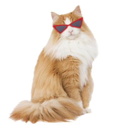 Óculos para animais de estimação, óculos de sol para cães e gatos, personalidade engraçada, acessórios para animais de estimação